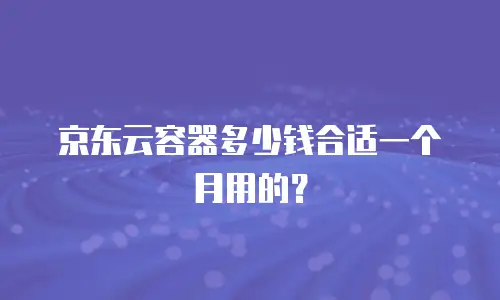 京东云容器多少钱合适一个月用的？