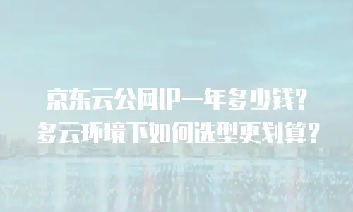 京东云公网IP一年多少钱？多云环境下如何选型更划算？