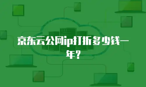 京东云公网ip打折多少钱一年？