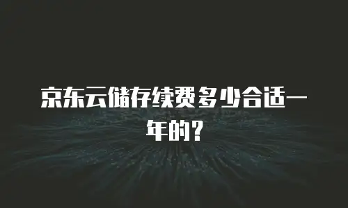京东云储存续费多少合适一年的？