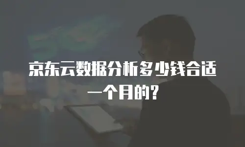 京东云数据分析多少钱合适一个月的？