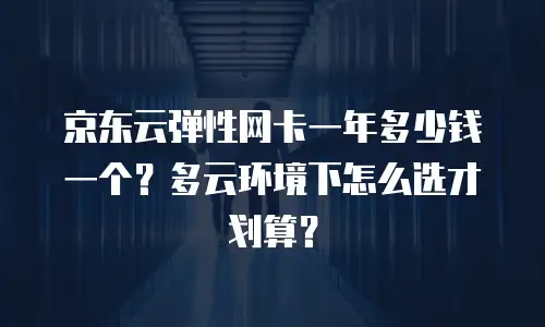 京东云弹性网卡一年多少钱一个？多云环境下怎么选才划算？