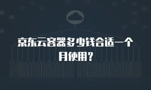 京东云容器多少钱合适一个月使用？