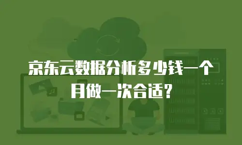 京东云数据分析多少钱一个月做一次合适？