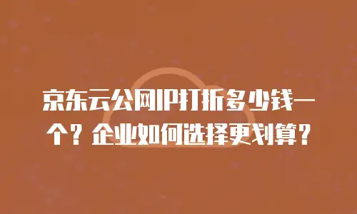 京东云公网IP打折多少钱一个？企业如何选择更划算？