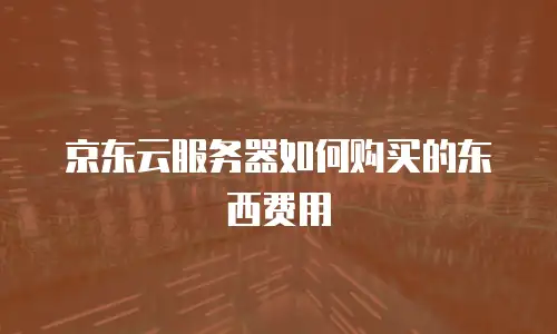 京东云服务器如何购买的东西费用