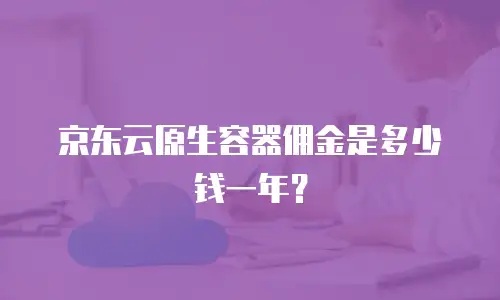 京东云原生容器佣金是多少钱一年？