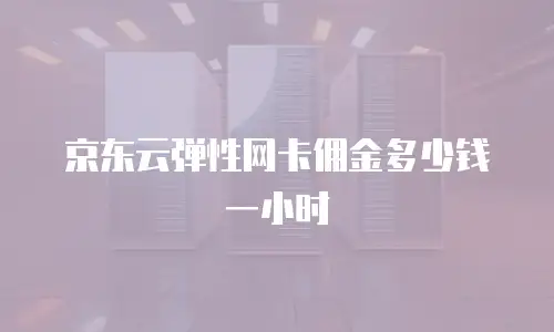 京东云弹性网卡佣金多少钱一小时