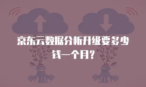 京东云数据分析升级要多少钱一个月？