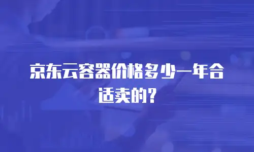 京东云容器价格多少一年合适卖的？