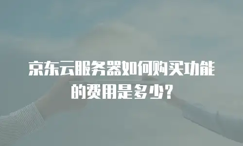 京东云服务器如何购买功能的费用是多少？