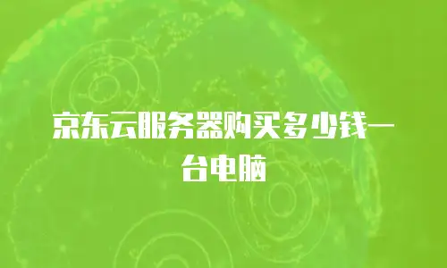 京东云服务器购买多少钱一台电脑