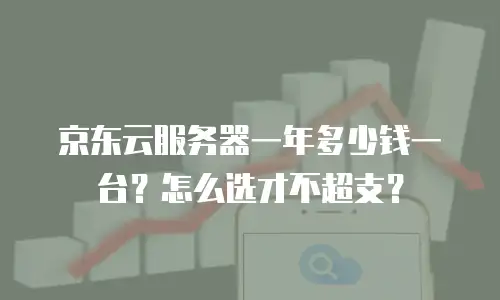 京东云服务器一年多少钱一台？怎么选才不超支？
