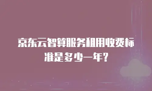 京东云智算服务租用收费标准是多少一年？