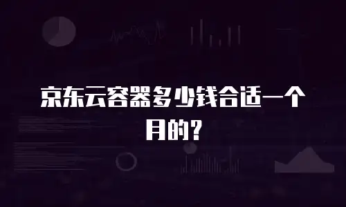 京东云容器多少钱合适一个月的？