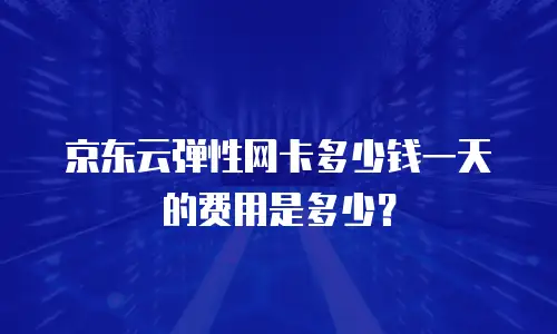 京东云弹性网卡多少钱一天的费用是多少？