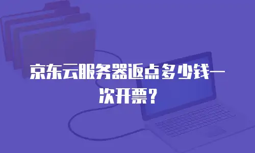 京东云服务器返点多少钱一次开票？