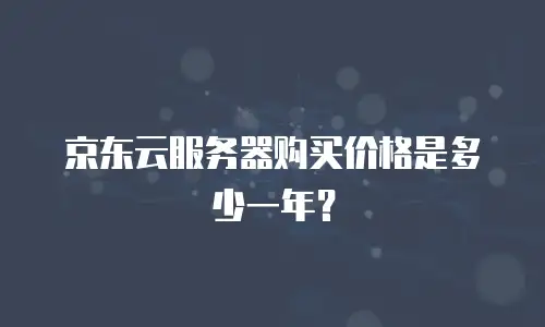 京东云服务器购买价格是多少一年？
