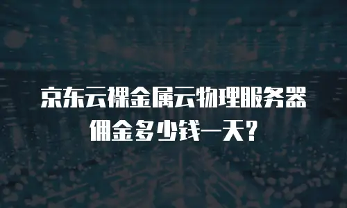 京东云裸金属云物理服务器佣金多少钱一天？