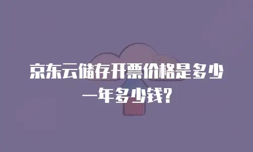 京东云储存开票价格是多少一年多少钱？