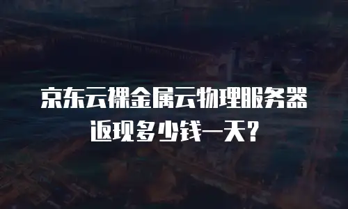 京东云裸金属云物理服务器返现多少钱一天？