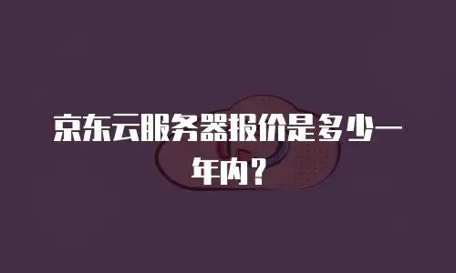 京东云服务器报价是多少一年内？
