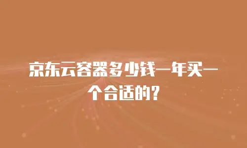 京东云容器多少钱一年买一个合适的？