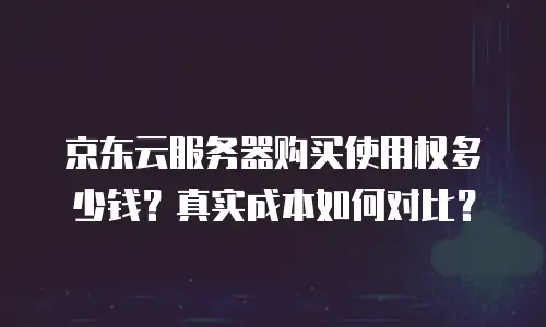 京东云服务器购买使用权多少钱？真实成本如何对比？