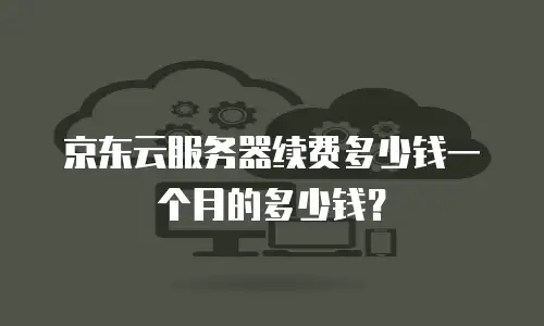 京东云服务器续费多少钱一个月的多少钱？