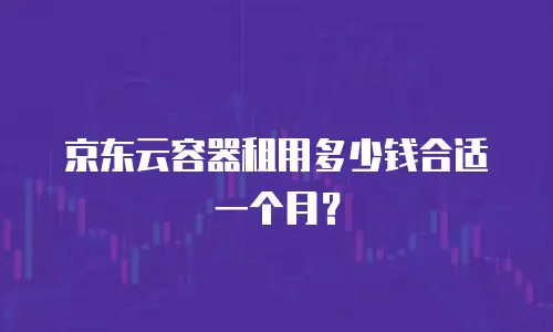 京东云容器租用多少钱合适一个月？