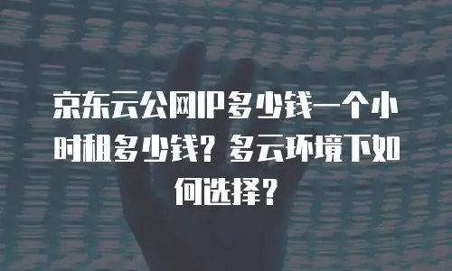 京东云公网IP多少钱一个小时租多少钱？多云环境下如何选择？