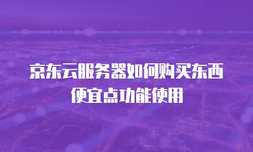 京东云服务器如何购买东西便宜点功能使用