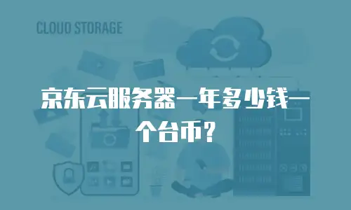 京东云服务器一年多少钱一个台币？