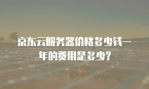 京东云服务器价格多少钱一年的费用是多少？