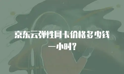 京东云弹性网卡价格多少钱一小时？