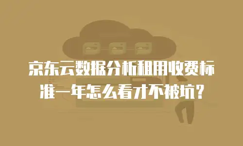 京东云数据分析租用收费标准一年怎么看才不被坑？