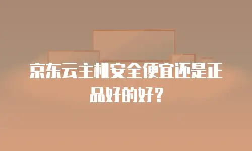京东云主机安全便宜还是正品好的好？