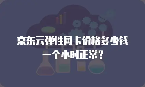 京东云弹性网卡价格多少钱一个小时正常？