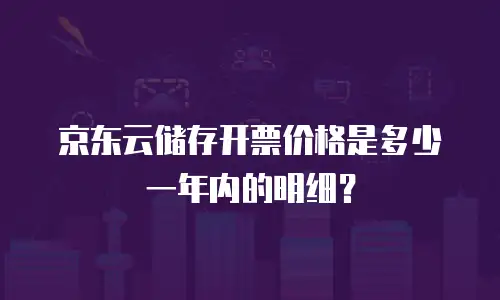京东云储存开票价格是多少一年内的明细？