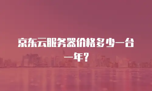 京东云服务器价格多少一台一年？