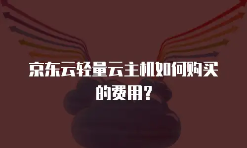 京东云轻量云主机如何购买的费用？