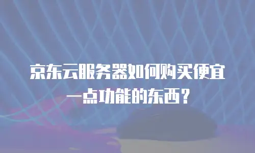 京东云服务器如何购买便宜一点功能的东西？