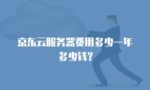 京东云服务器费用多少一年多少钱？