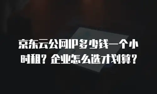 京东云公网IP多少钱一个小时租？企业怎么选才划算？