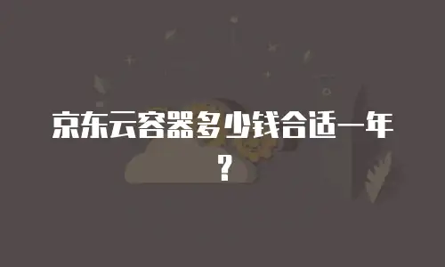 京东云容器多少钱合适一年？