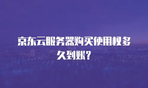 京东云服务器购买使用权多久到账？