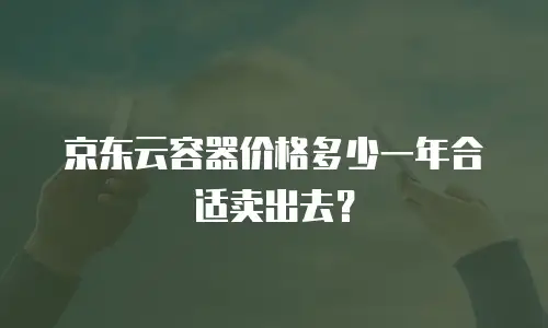 京东云容器价格多少一年合适卖出去？