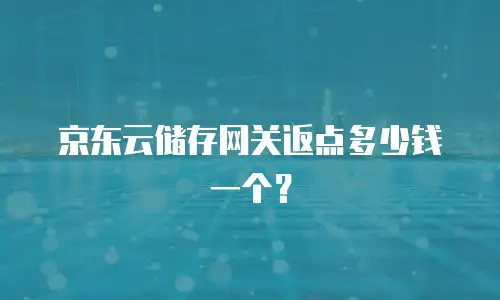 京东云储存网关返点多少钱一个？