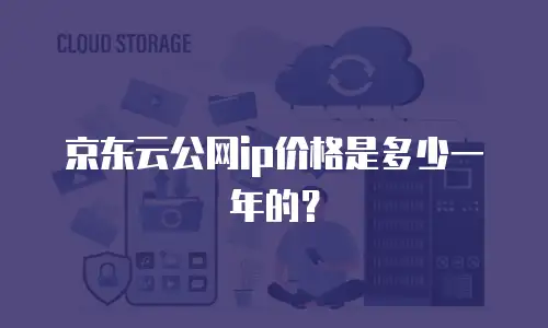 京东云公网ip价格是多少一年的？