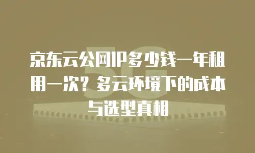 京东云公网IP多少钱一年租用一次？多云环境下的成本与选型真相